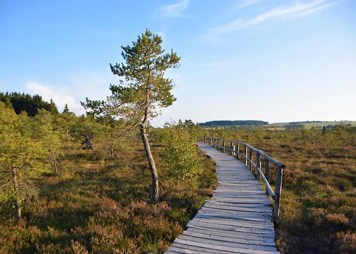 Апартаменты Gaestehaus Jaeger Герсфельд